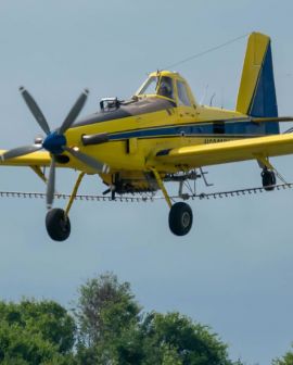 Imagem de Aerotex fará ação beneficente com brigada aérea