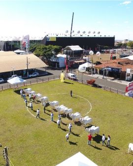 Imagem de Rio Verde recebe exposição oficial dos Rankings Nacionais Nelore e Nelore Mocho