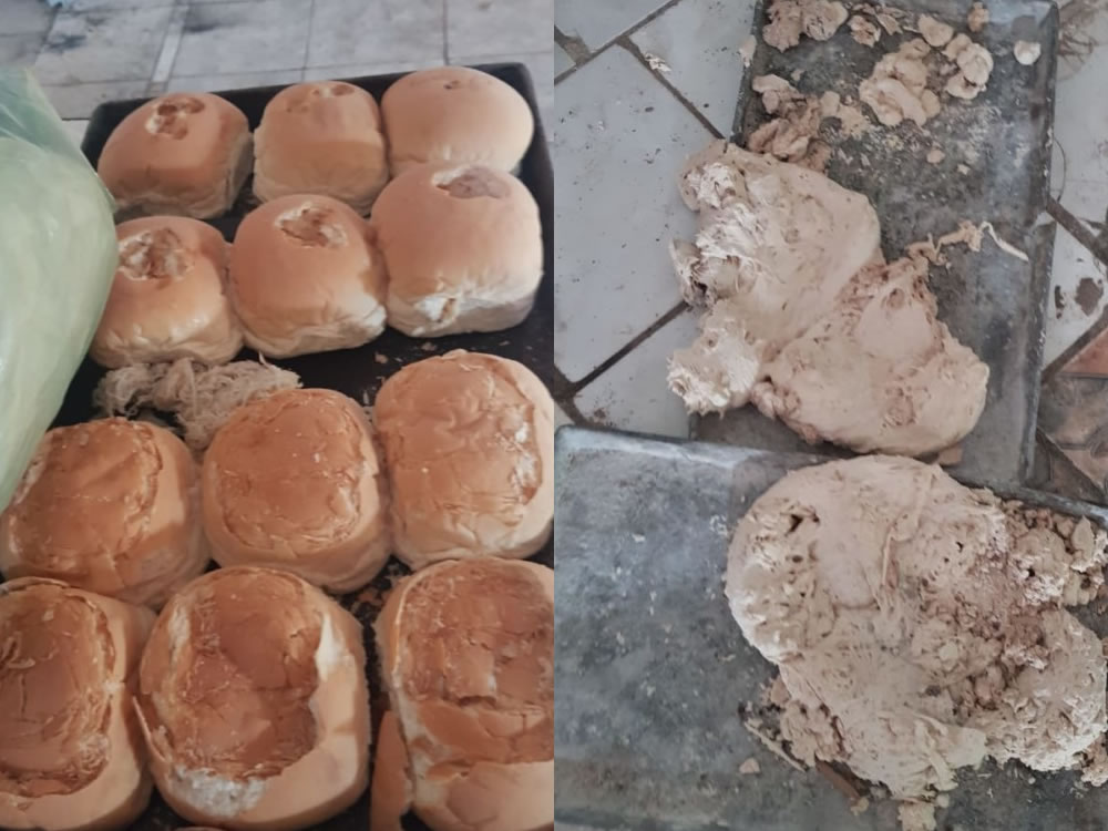 Imagem de Operação fecha fábrica de pães que tinha ratos e baratas nos alimentos