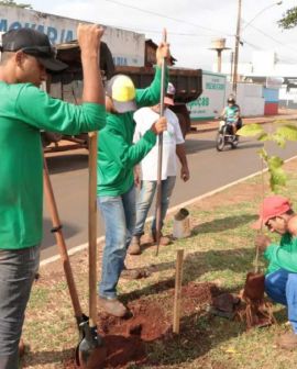 Imagem de Prefeitura inicia o plantio e doação de mudas na cidade