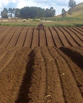 Imagem de Cerrado: preparação para plantio de soja iniciará em breve