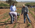 Imagem de Pequenos produtores recebem benefícios