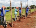 Imagem de Começam obras do Materno Infantil