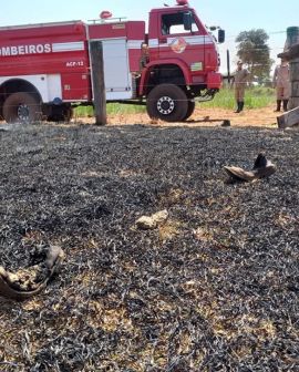 Imagem de Fio de alta-tensão cai sobre cerca de arame e fere dois funcionários de uma fazenda de Gouvelândia