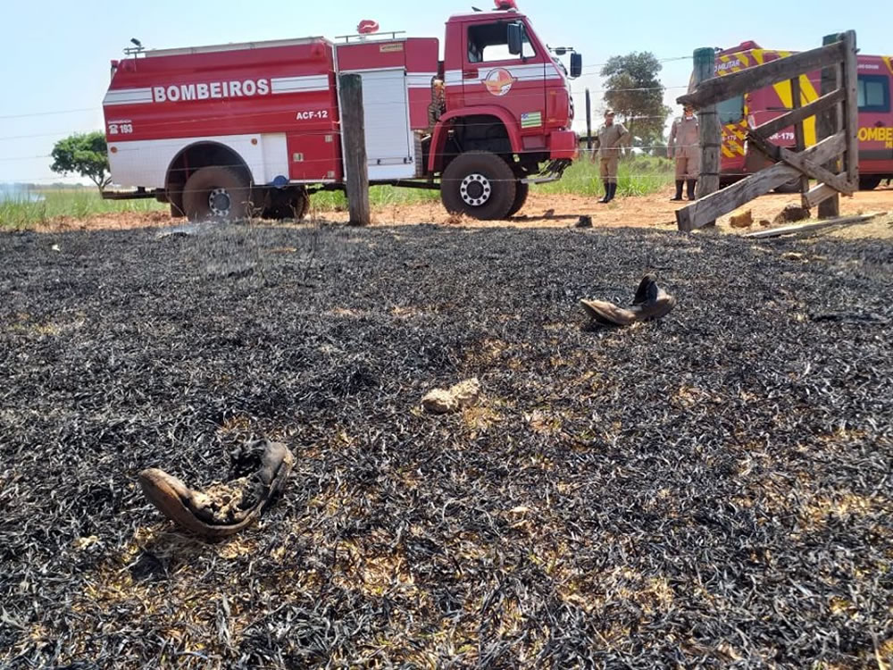 Imagem de Fio de alta-tensão cai sobre cerca de arame e fere dois funcionários de uma fazenda de Gouvelândia