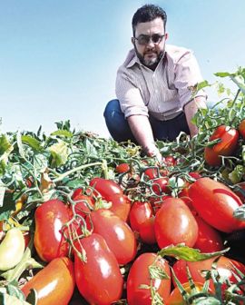 Imagem de Goiás é protagonista no agro