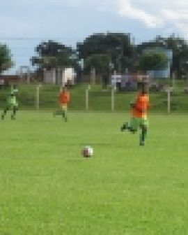 Imagem de Goianão 2013: Rio Verde fez seu segundo coletivo