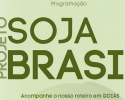 Imagem de Fórum Soja Brasil debate os desafios da próxima safra