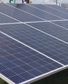 Imagem de Expositores da Tecnoshow oferecem energia solar como solução para fazendas, empresas e até casas