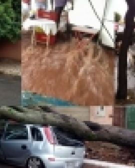 Imagem de Chuva forte derruba árvores e causa prejuízos