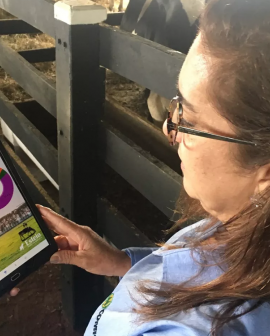 Imagem de Tecnologia ajuda na administração da fazenda, combate de pragas e irrigação