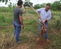 Imagem de Pequenos produtores recebem apoio da Prefeitura