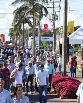 Imagem de Com cenário positivo, setor de máquinas e implementos apresenta inovações na Tecnoshow Comigo 2019