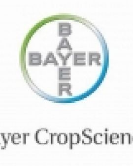 Imagem de Bayer leva à Tecnoshow Comigo plataforma de soluções integradas para soja