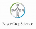 Imagem de Bayer leva à Tecnoshow Comigo plataforma de soluções integradas para soja