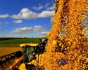 Imagem de Rio Verde terá campeão no Desafio Nacional de Máxima Produtividade