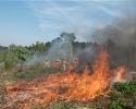 Imagem de Bombeiros alertam para o risco de queimadas