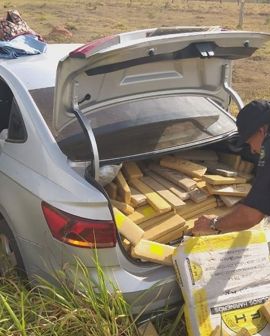 Imagem de PM apreende meia tonelada de maconha