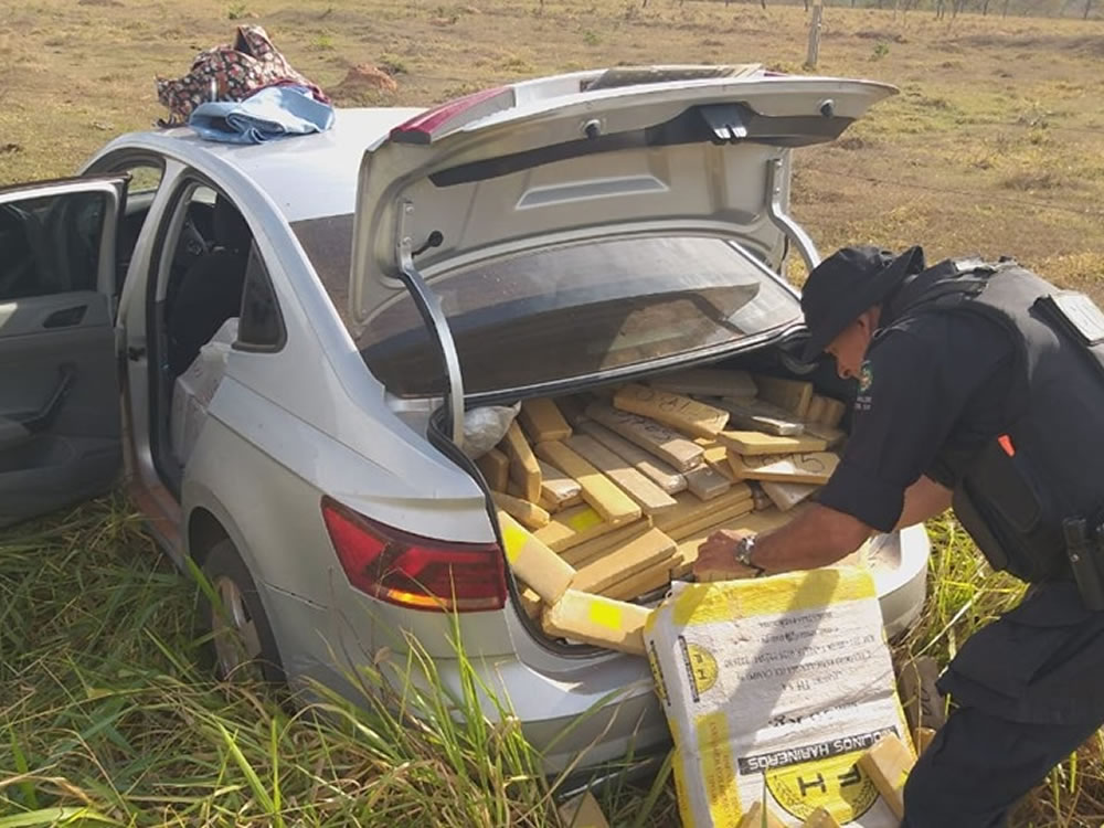 Imagem de PM apreende meia tonelada de maconha