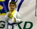 Imagem de Rio-verdense vence goiano de Taekwondo