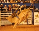 Imagem de Pecuária 2014: Rodeio de Rio Verde começa hoje