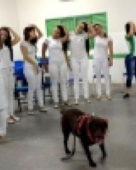 Imagem de Alunos dão início ao projeto 'Sorria, é Pet Terapia'