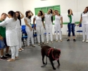 Imagem de Alunos dão início ao projeto 'Sorria, é Pet Terapia'