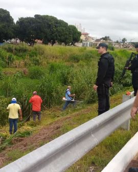 Imagem de Detentos fazem roçagem na Paulo Roberto Cunha