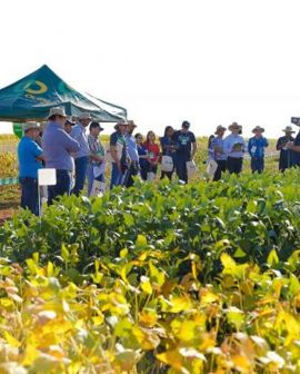 Imagem de 2º Tour da Soja movimenta agricultores do Sudoeste goiano