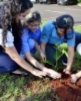 Imagem de Hurso realiza Mês Ambiental