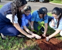 Imagem de Hurso realiza Mês Ambiental