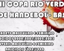 Imagem de Vem aí III Copa Rio Verde de Handebol